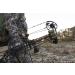 Alpine Bear Claw Quiver Realtree Edge 5 Arrow Holder - Buy Now - Buy Online on GoSupps.com