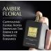 The Story of Amber Floral by Prince Parfums Dubai - 3.4 Ounces Women's Extrait de Parfum - Enchanting Essence of White Florals Jasmine & Bulgarian Rose - Luxurious Vanilla & Sandalwood Symphony - Buy Online on GoSupps.com