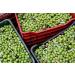 Gaea Pitted Mixed Greek Olives - Green, Black & Brunettes (5.3 oz) - Buy Online on GoSupps.com