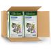 Four O'Clock Herbalist Calm Dormiphen Herbal Tea Non-Gmo Kosher Gluten-Free 6 Pack of 20 Teabags - Buy Online on GoSupps.com