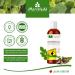 Buy Moringa Oil 100ml - Cold Pressed Organic Skin & Hair Care | Anti-Aging & Wound Treatment - Moriveda - Buy Online on GoSupps.com