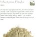 Wheat Grass Juice Powder - 250g | Pure and Organic Superfood Supplement - Buy Online on GoSupps.com