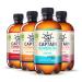 Gutsy Captain Kombucha Trial Pack - Bio Kombucha Tea Living Cultures No Conservants Unpasteurized Raw and Vegan - 4 x 400ml (Mixbox)