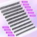 Ruairie Black Lash Extension Kit: 200pcs Bond & Seal DIY Eyelash Extension Clusters 8-16MM CD Curl Individual Lashes Set - Buy Online on GoSupps.com