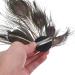 Healeved Hair Clip - Fashion Peacock Hair Pins Peacock Fascinator Peacock Hair Clip for Women and Girls - Fascinator - Buy Online on GoSupps.com