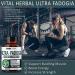 Ultra Fadogia Agrestis 10:1 Extract with Tongkat Ali Capsules - Maximum Strength Energy and Muscle Booster - 9570mg Equivalent - with Ginseng, Maca Root, Tribulus - 90 Count - Buy Online on GoSupps.com