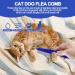 3 Pieces Pet Comb Set Cat Dog Flea Comb Pet Dog Cat Grooming Comb Removal Lice Comb Fine Tooth Metal Head Lice Combs Grooming Tick Removal Tool for Dog Cat Tangles Dirt Tear Stain Remover - Buy Online on GoSupps.com