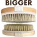 Wet and Dry Body Brush Exfoliator by Scala Beauty | Soft Bristle Brush for Smooth, Radiant Skin - Exfoliates Dead Skin, Reduces Cellulite, Stimulates Blood Flow | 5 x 2.75 in Dry Brush - Buy Online on GoSupps.com