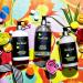 Gilchrist & Soames BeeKind Honey & Lemon Verbena Shower Gel - 15.5oz | Gentle on Skin, Zero Parabens, Sulfates, and Phthalates | BeeKind Collection - Buy Online on GoSupps.com
