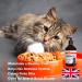 Pure Scottish Salmon Oil for Cats - 500ml | 100% Pure Natural Omega 3 6 & 9 Fish Oil for Cats | Salmon Oil Cats - Cat Supplement - Omega 3 for Cats - Cat Fish Oil - Cat Salmon Oil | Kitty Ketchup - Buy Online on GoSupps.com