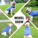 Caracaleap Cozy Dog Sweater - Soft Dark Blue Winter & Spring Coat for Small Dogs & Cats - Buy Online on GoSupps.com