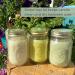 Mosquito Naturals Lemongrass Eucalyptus Cedarwood Candles (Set of 3) | 88 Hour Burn | All Natural Soy | Made in USA - Buy Online on GoSupps.com