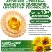 Liposomal Magnesium Carbonate Gummies 500 mg Magnesium Supplement with Ashwagandha, L-Theanine, Calcium & Vitamin D3 for Muscle & Nerve Support, Sugar-Free Vegan Pineapple Flavor (60 Count) 1P 60 Count (Pack of 1) - Buy Online on GoSupps.com