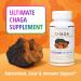 ENCAPSULATE Chaga Capsules 1000mg Premium Organic Fruiting Body 1:1 Mushroom Extract Adaptogen Mushroom Supplement for Antioxidant Digestive Oxidative Stress & Immune Support Vegan 60 Count - Buy Online on GoSupps.com