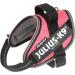 Buy Julius-K9 IDC Powair Dog Harness - Pink XS/Mini-Mini | International Shipping Available - Buy Online on GoSupps.com