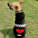 EXPAWLORER Dog Hoodie - Warm Fall Sweatshirt with Leash Hole, Bitches Love ME Print - Winter Autumn Fleece Pet Clothes for Small, Medium, Large Dogs - Buy Online on GoSupps.com