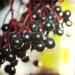 Buy European Elderberry (Sambucus Nigra) Seeds - 25+ Premium Seeds for Health & Wellness | Fast International Shipping - Buy Online on GoSupps.com