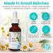 Baraka Sinus Ayurvedic Care Bundle - Includes Handcrafted Ceramic Neti Pot French Atlantic Grey Neti Salt (2-oz) Dry Nose Oil (1-oz) for Sinus Relief Hydrates Nasal Passages Lightweight - Jade - Buy Online on GoSupps.com