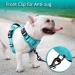 POPOT Reflective Dog Harness - Adjustable Soft Padded Vest for Small Dogs | No Choke Design | MINT Blue (Size S) - Buy Online on GoSupps.com