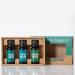 Plant Therapy Pain Support Essential Oil Blend Set - Ache Away Rapid Relief & Tension Relief - 10 mL Pure & Undiluted - Buy Online on GoSupps.com