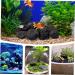 Frcolor Volcanic Stone Aquarium Landscaping - Natural Stone Decor for Fish Tanks & Flower Pots | Breathable Gravel & Plant Ornaments - Buy Online on GoSupps.com