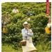 Juan Valdez Cultural Landscape Coffee Pods | Compatible with Nespresso Original Machines | 8 Capsules - Buy Online on GoSupps.com
