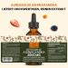 Aureasalus Liposomal Ashwagandha Drops 2000 mg - Pure Natural Extract with Probiotics & Black Pepper - 60 ml (Pack of 1) - Buy Online on GoSupps.com