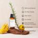 Serenity Meadows & Sweet Serenade Hotel Scents - Luxury Aroma Diffuser Oil 1.69 Fl Oz (50ml) | Top 2 Aromatherapy Oils for Home & Hotels - Buy Online on GoSupps.com