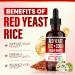 Red Yeast Rice with Coq10 Liquid Drops Red Rice Yeast for Cholesterol with Citrus Bergamot Immune & Heart Support - 120ML (1) - Buy Online on GoSupps.com