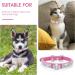 cobee Rhinestone Dog Cat Collar Bling Adjustable Pet Collar PU Leather Puppy Collar Crystal Cat Collars for Small Dogs Cats(Rose Red) - Buy Online on GoSupps.com