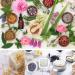 12 Bag Natural Dried Flowers Herbs Kit - Bulk Dry for Soap Making, DIY Candle, Resin Jewelry, Decor or Bath - Lavender, Rose Petals, Jasmine, Rosebuds, Lily, Lemon & More - Buy Online on GoSupps.com