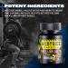 Westside Barbell Smelling Salts - Ammonia Inhalant for Athletes - Weightlifting & Powerlifting - Increase Focus & Alertness - 2 Oz 3 Pack - Buy Online on GoSupps.com