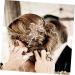 FRCOLOR Hair Comb Bride Hair Accessories Formal Hair Accessories for Women Flower Hair Accessories Hanfu Hair Accessories Aesthetic Hair Accessories Fairy Jewelry for Women - Buy Online on GoSupps.com
