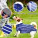 Buy Hjumarayan Dog Body After Castration | Breathable Blue & White Striped Recovery Suit for Male & Female Dogs - Buy Online on GoSupps.com