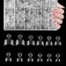 600 pieces oval wrong nail tips 12 sizes short nail tips French half cover false nail art tips for diy nail studios transparent