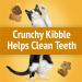 Friskies Party Mix Cat Treats Cheezy Craze Crunch with Real Cheese - 170 g Pouch (1 Pack) 170 g (Pack of 1) - Buy Online on GoSupps.com