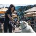 OllyDog Mountain Leash | Climbing-Inspired Rope Dog Leash 5ft | Padded Handle | Dog Accessories - Buy Online on GoSupps.com