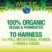 Natural Factors Organic Fermented Greens Whole Food Supplement 6.9 Oz - Vegan & Unflavored - Buy Online on GoSupps.com