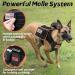 Rabbitgoo No Pull Dog Harness for Medium & Large Dogs | Tactical Military Safety Vest with Handle & Metal Buckles | Adjustable & Breathable | Size S (1 Pack) - Black - Buy Online on GoSupps.com