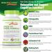 Healthology STRESS-FX | Stress Relief & Anti Anxiety Supplement With L-Theanine Rhodiola Root Extract GABA Schisandra Skullcap Herb Ashwagandha Root Extract | Helps Releive Anxiety - Buy Online on GoSupps.com