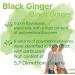Swanson Black Ginger Extract 100mg - High Strength 30 Vegan Capsules - Lab Tested - Vegetarian - Non GMO - Buy Online on GoSupps.com