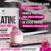  FOODELIS Creatine Monohydrate Powder 300g - Lollipop Flavor - Micronized (200 Mesh) - No Added Sugar - Measuring Scoop Included - Buy Online on GoSupps.com
