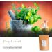 Organic Bay Leaf - Whole Culinary Quality - 50g | Premium Laurel Herb - Buy Online on GoSupps.com
