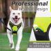 Buy Eagloo Medium Dog Harness - Adjustable Durable Anti- Pull with Reflex Strips for Walking & Jogging - Green M (1 Pack) - International Shipping Available - Buy Online on GoSupps.com