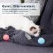 Buy 2PCs Power Ball 2.0 Cat Toy - Intelligent Rotating & Interactive Balls in Blue & Pink | Aiveys Gertar - Buy Online on GoSupps.com