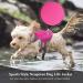 Vivaglory Light Dog Life Jacket - Skin-Friendly Neoprene Swimming Vest for Small Dogs (Pink 48-56cm) with D-Ring & Quick Lock - Buy Online on GoSupps.com