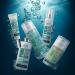 MY PURE SKIN | Gel nettoyant facial normalisant 300 ml | Nettoyage | R gulation du s bum | Humidit | Apaisant | Ingr dients actifs : niacinamide acide salicylique th vert yerba mate miel de - Buy Online on GoSupps.com