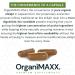 Shilajit For Men OrganiMAXX Premium Shilajit Capsules Pure Himalayan Organic Shilajit Plant Derived Fulvic Acid For Metabolism And Immune System Support. Non GMO Natural Shilajit Vegan friendly Free of Gluten Soy & Dairy - Buy Online on GoSupps.com