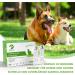 Isenvo Giardia Quick Test Kit for Dogs & Cats | 2 x Reliable Intestinal Parasite Tests for Diarrhea - Buy Online on GoSupps.com