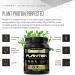 Kaged Muscle Plantein Vegan Protein Powder - Cinnamon Roll Flavor | Organic Pea Protein with Enhanced Absorption | 15 Servings (Pack of 1) - Buy Online on GoSupps.com